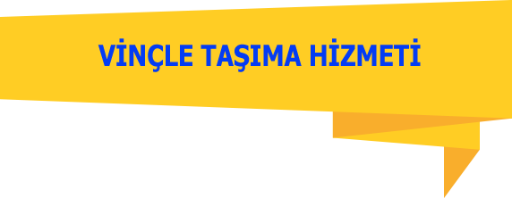 vinc-tasima