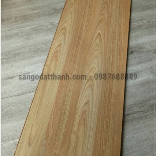Sàn gỗ công nghiệp Thaistar 12mm 15