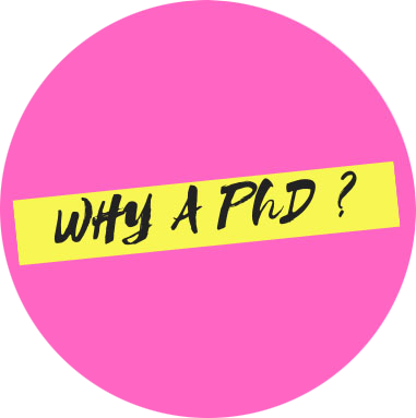 Why a PhD ?